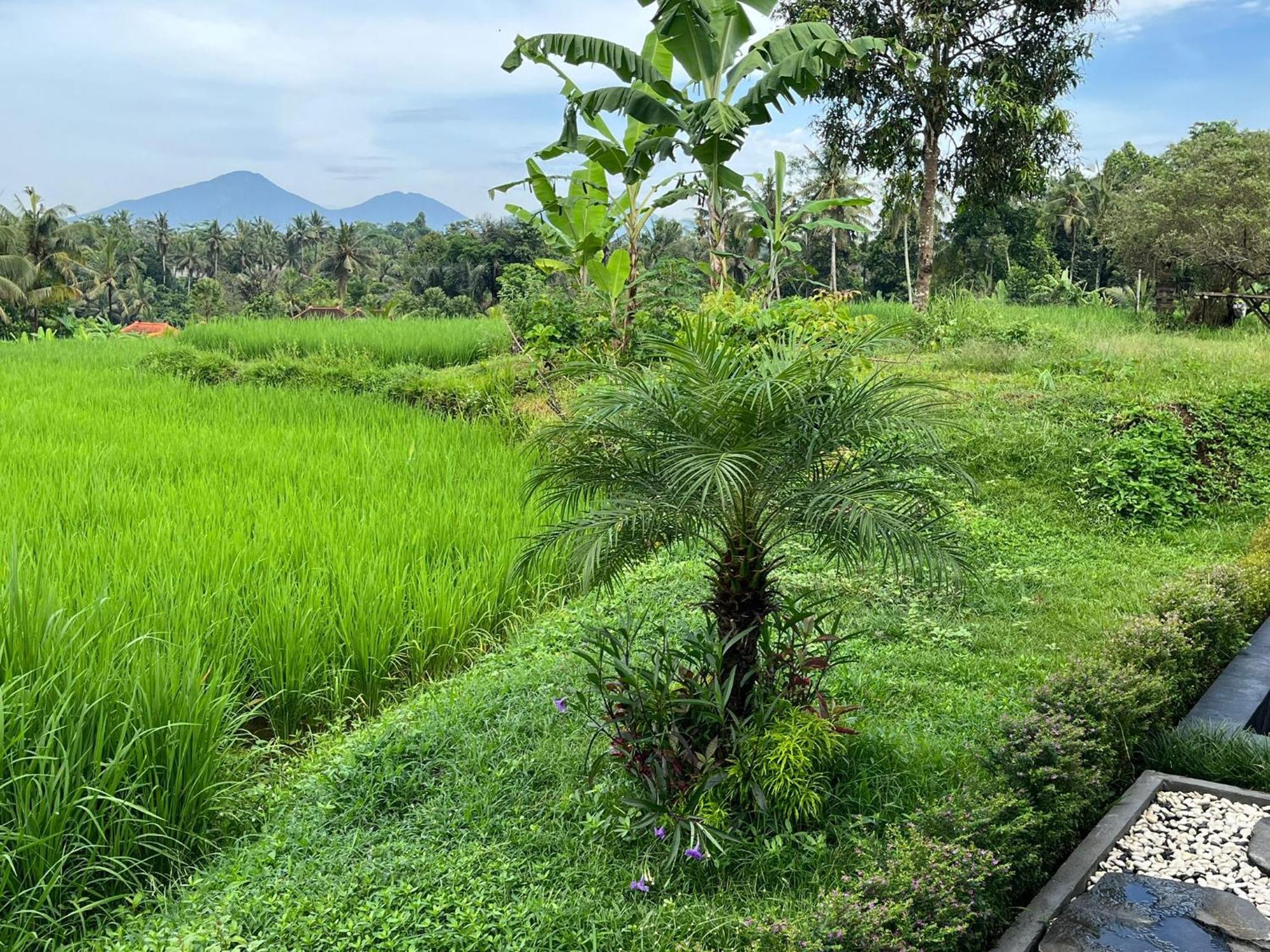 Maple Ridge Ubud Villas Exterior photo